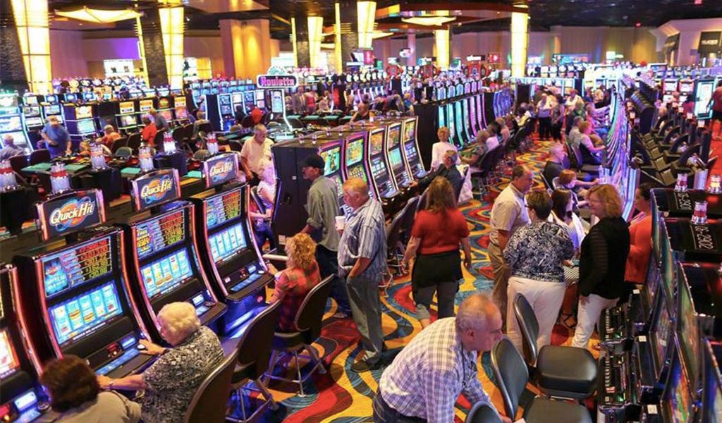 Gambling Delights: Casino Wonder