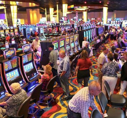 Gambling Delights: Casino Wonder