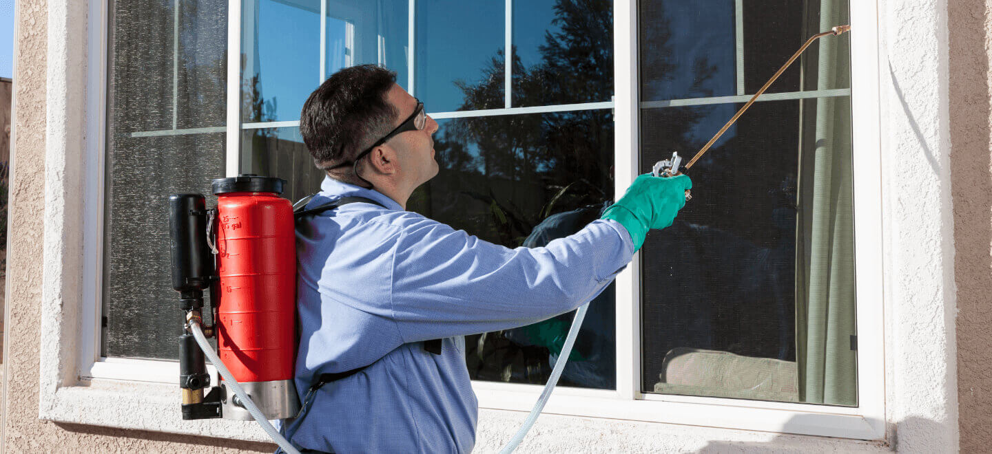 Safe Pest Control: Maintaining Indoor Air Quality